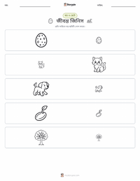জীব মুদ্রণযোগ্য কাজের পৃষ্ঠার প্রিভিউ