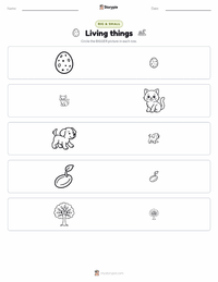 Living things printable worksheet preview