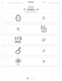สิ่งมีชีวิต ตัวอย่างแบบฝึกหัดที่พิมพ์ได้
