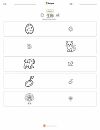 生物 可打印工作表预览