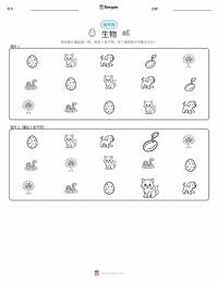 生物 可打印工作表预览