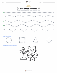 Aperçu de la feuille de travail imprimable Les êtres vivants
