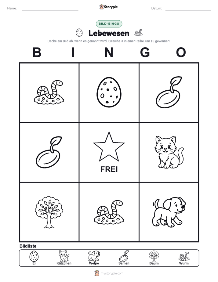 Bild-Bingo