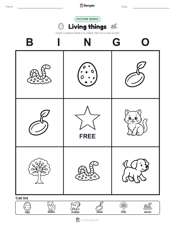 Picture Bingo