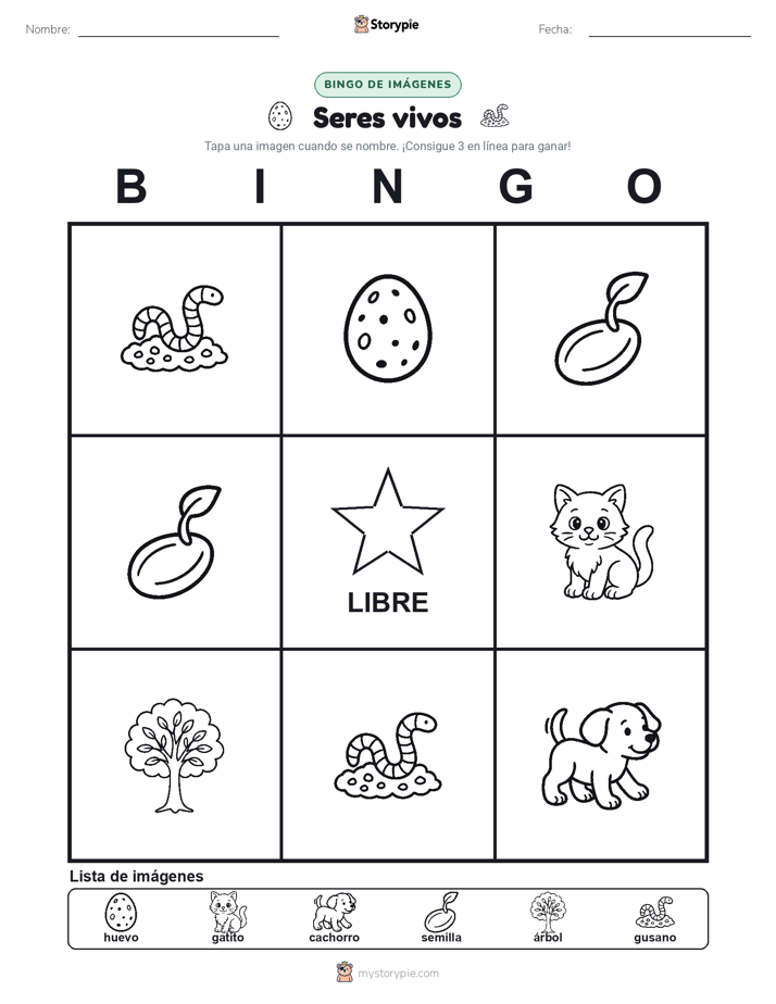 Bingo de Imágenes