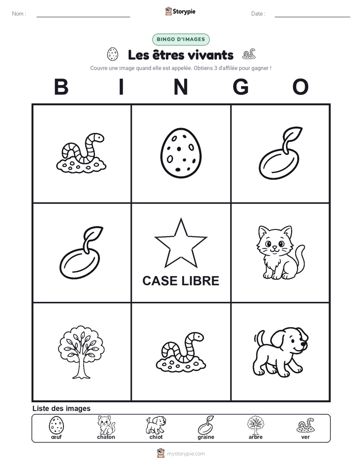 Bingo d'Images