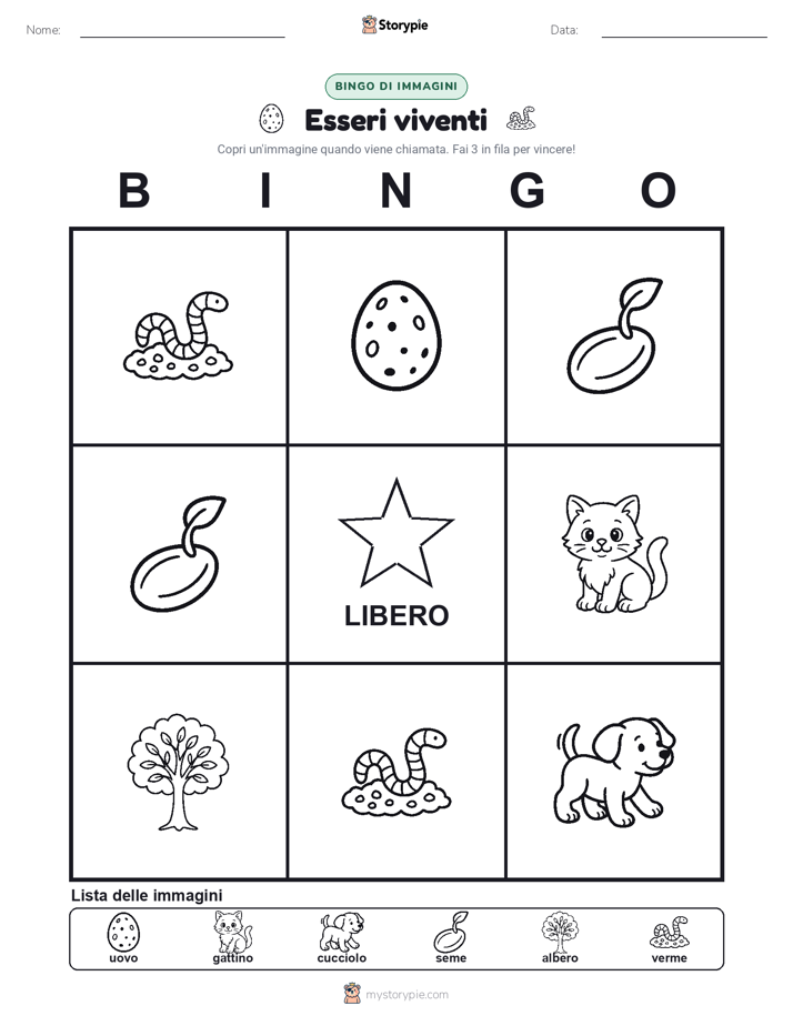 Bingo delle Immagini