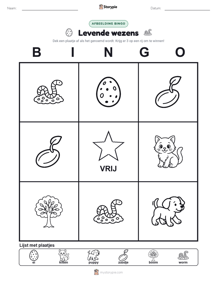 Afbeelding Bingo