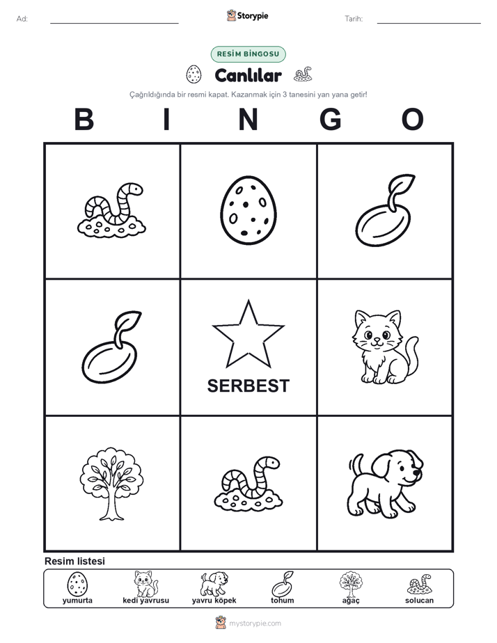 Resim Bingo