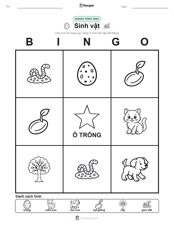 Bingo Hình Ảnh