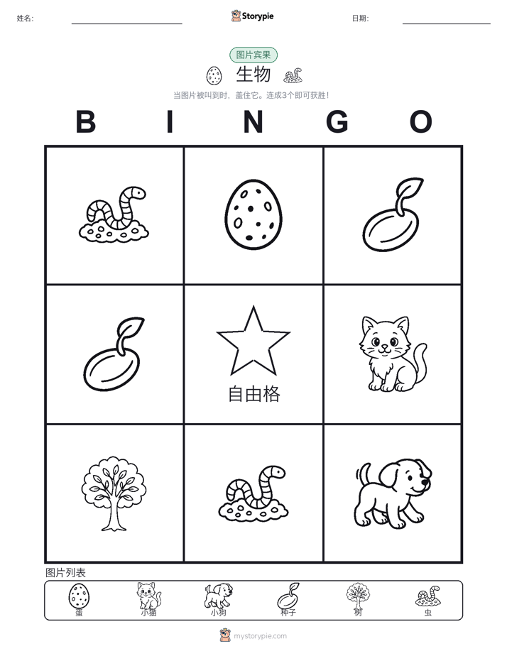 图片宾果
