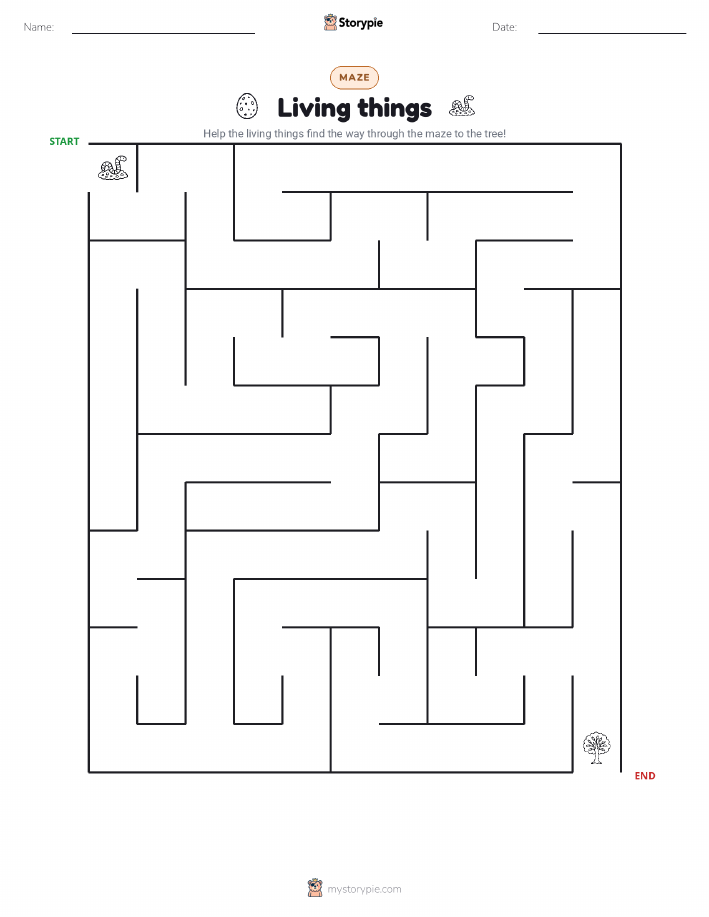 Maze