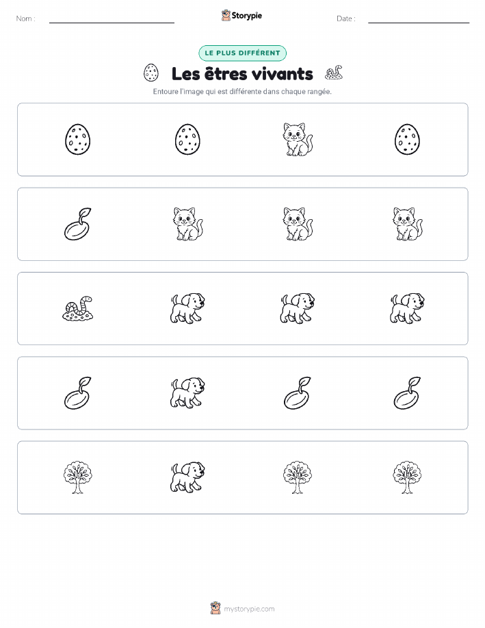 Celui qui ne correspond pas