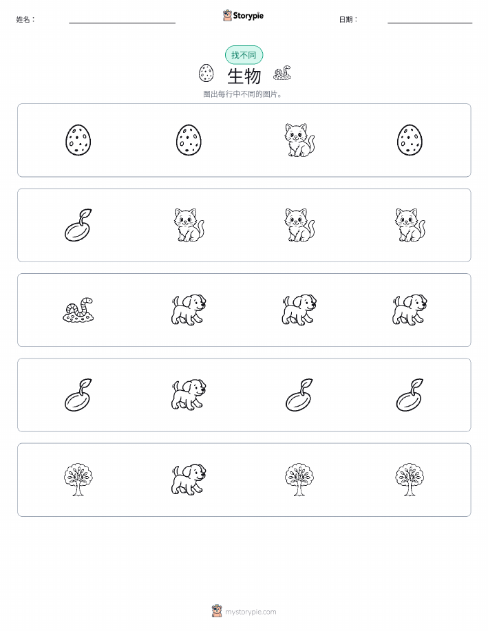 找不同