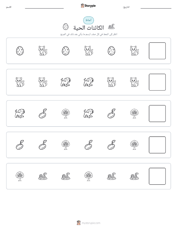 أنماط