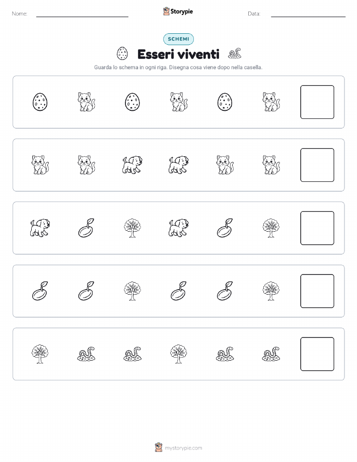 Pattern