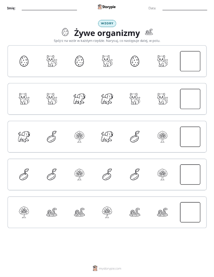 Wzory
