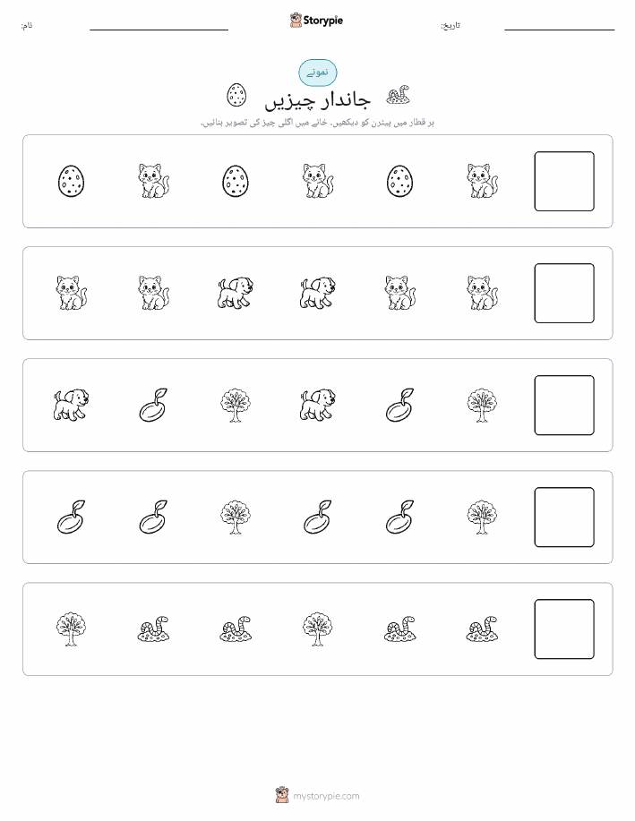 پیٹرن