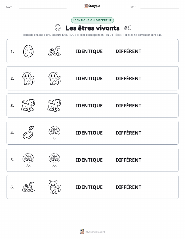 Identique ou Différent