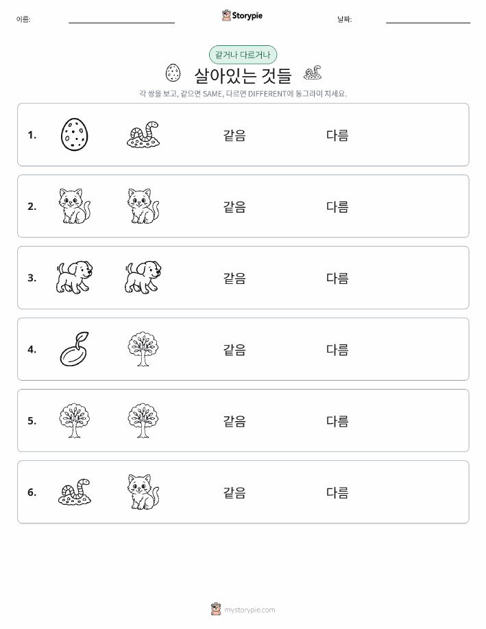 같은 것 또는 다른 것