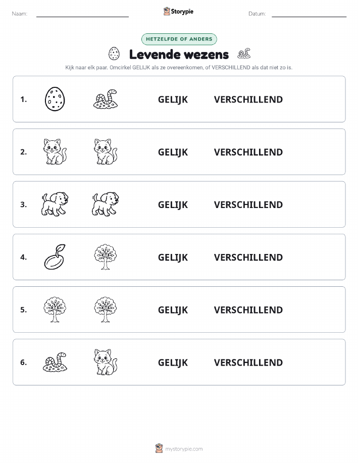 Zelfde of Verschillend