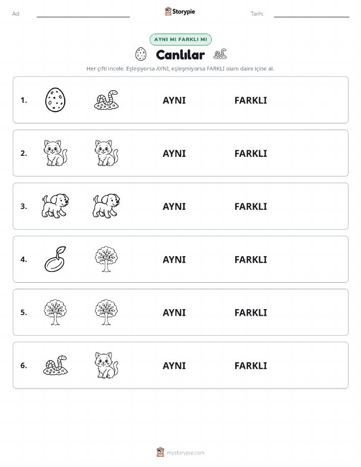 Aynı mı Farklı mı