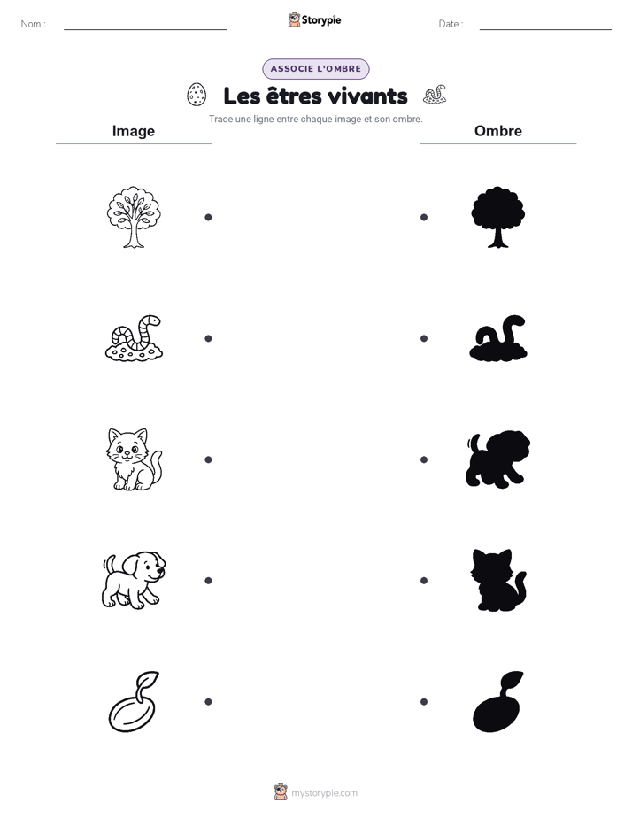 Correspondance d'Ombres