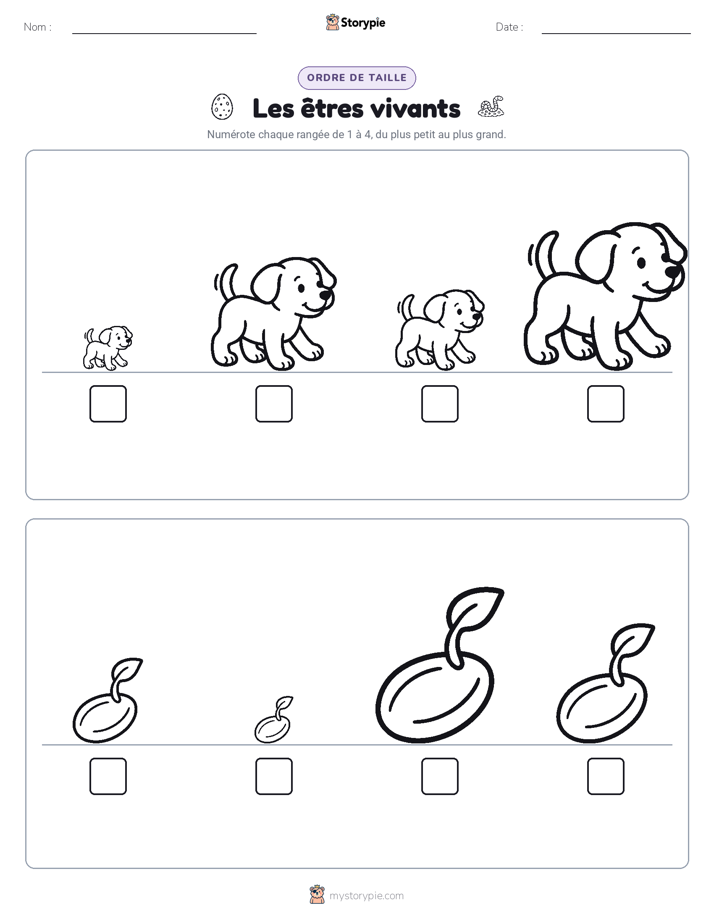 Ordre de Taille