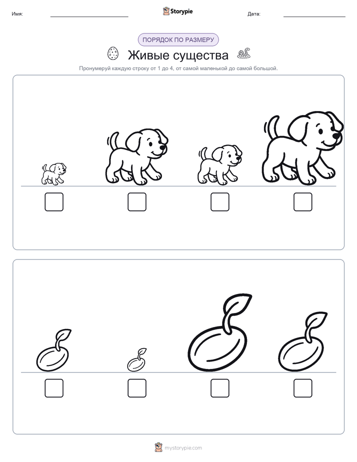 Размеры в порядке