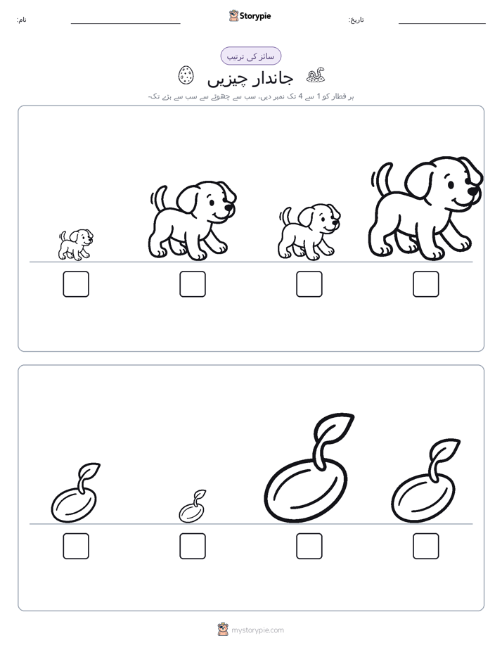 سائز کی ترتیب