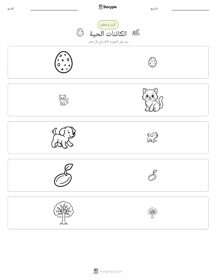 فرز