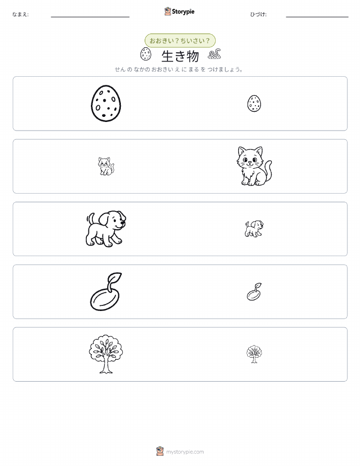ソーティング