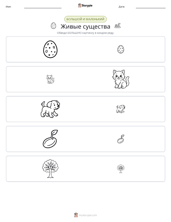 Сортировка