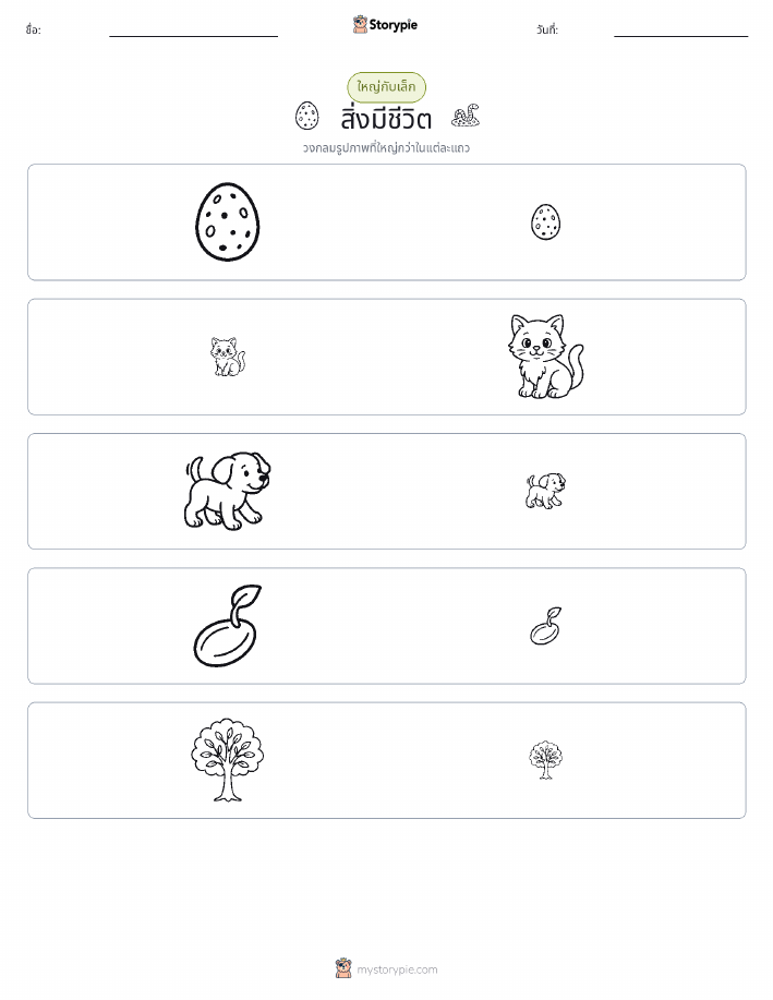 การจัดเรียง