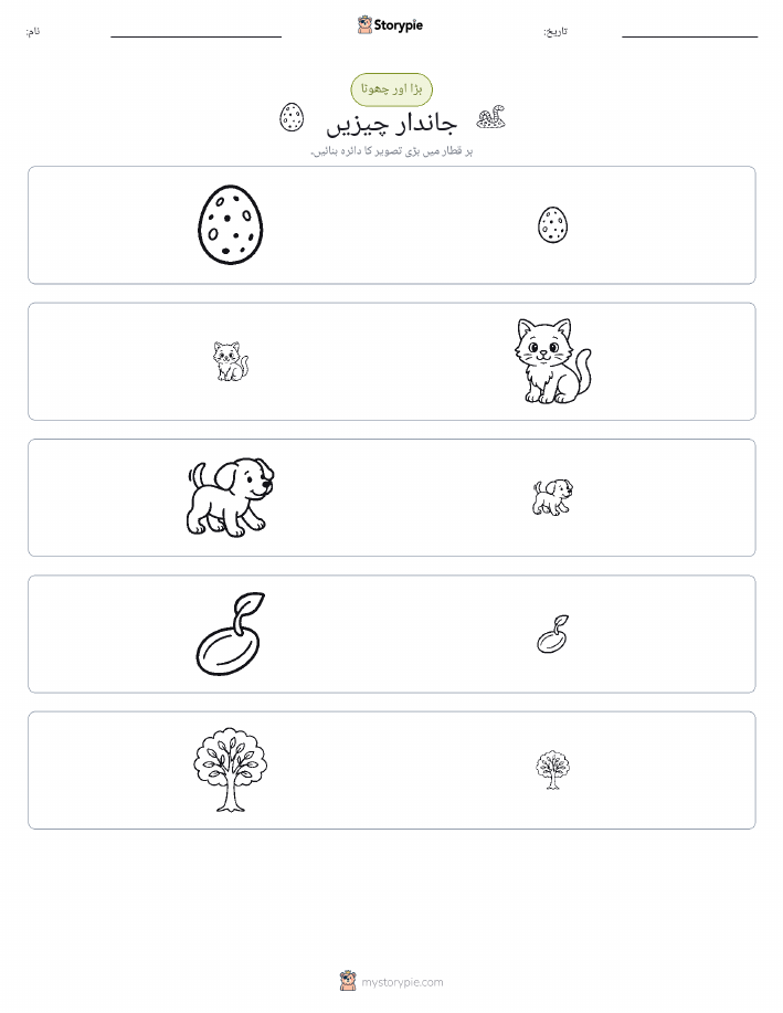 ترتیب دینا