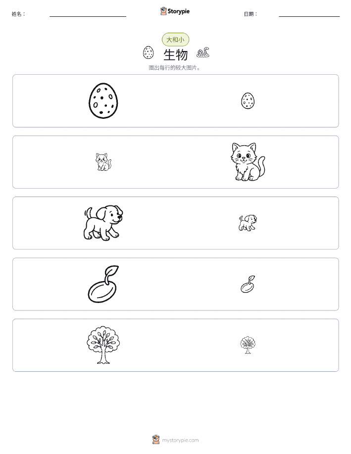 分类
