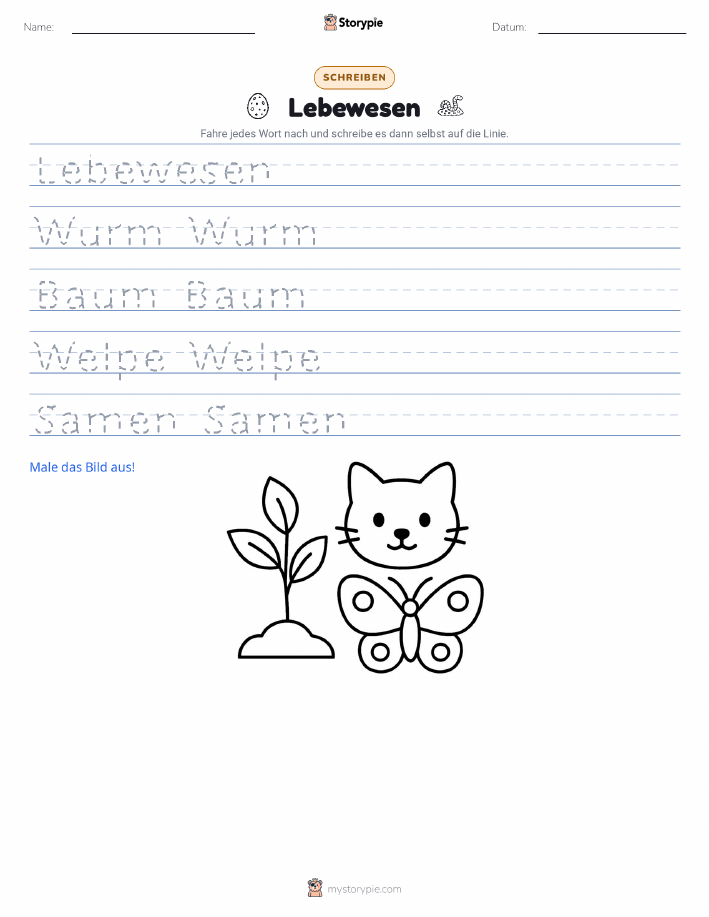 Schreibübung
