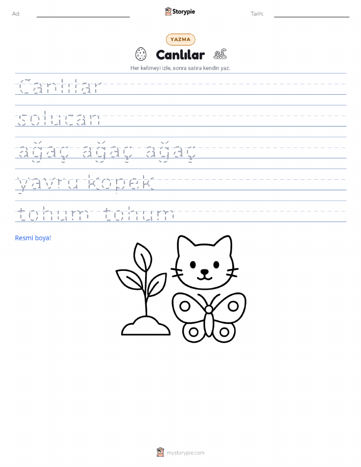 Yazma Pratiği