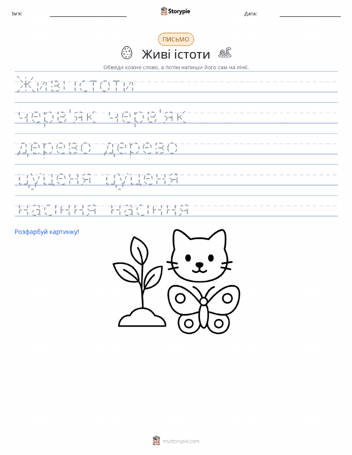 Практика письма