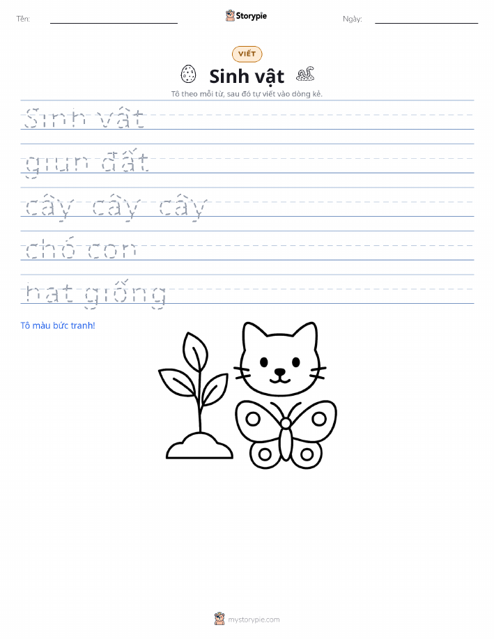 Luyện Viết