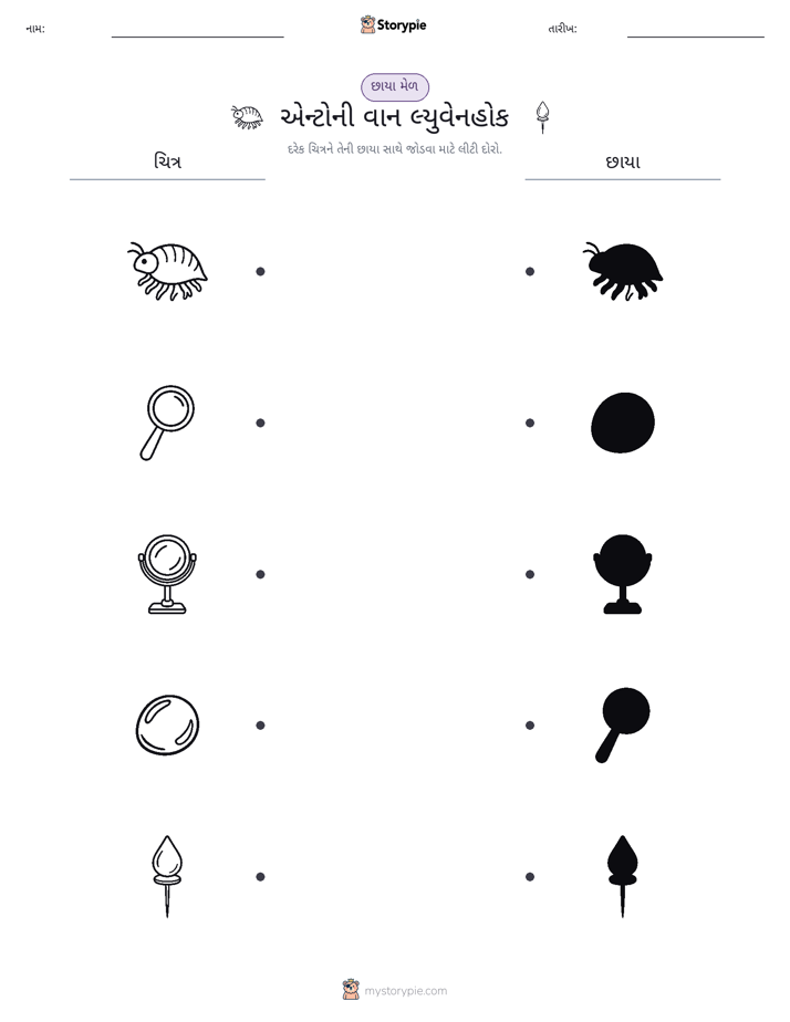 શેડો મેચ
