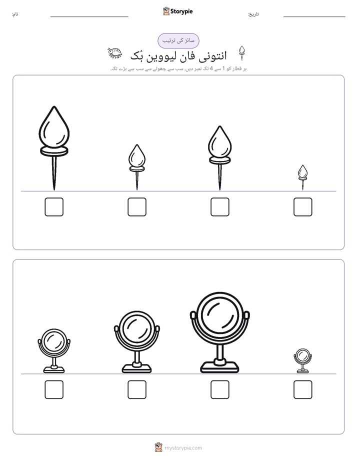 سائز کی ترتیب