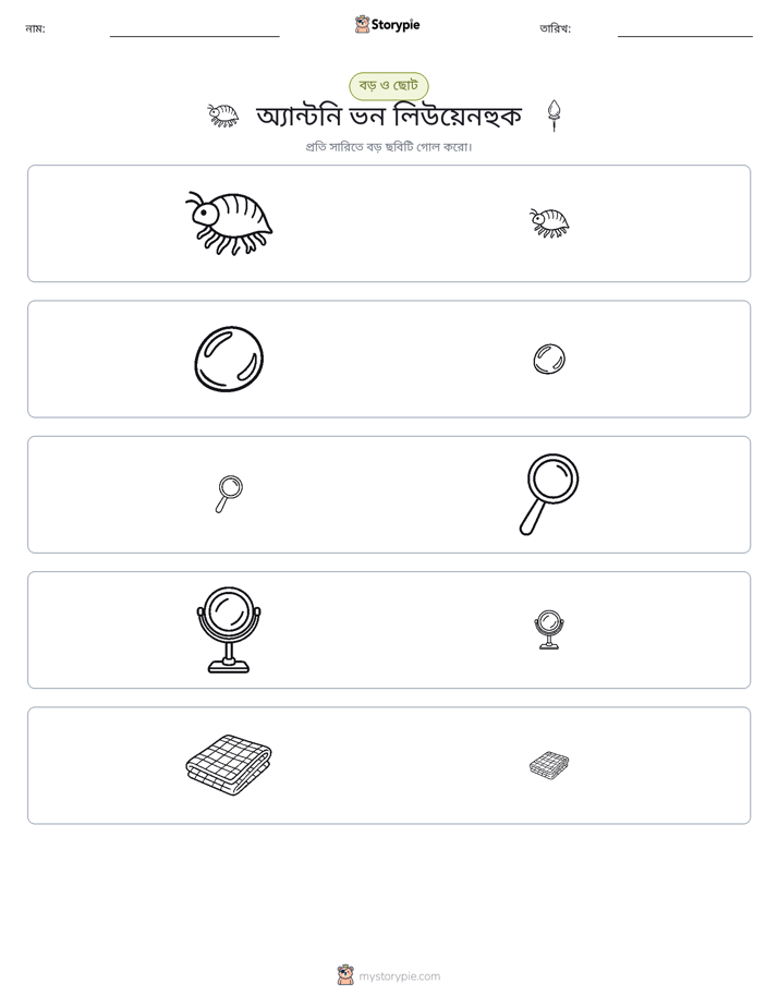 সাজানো