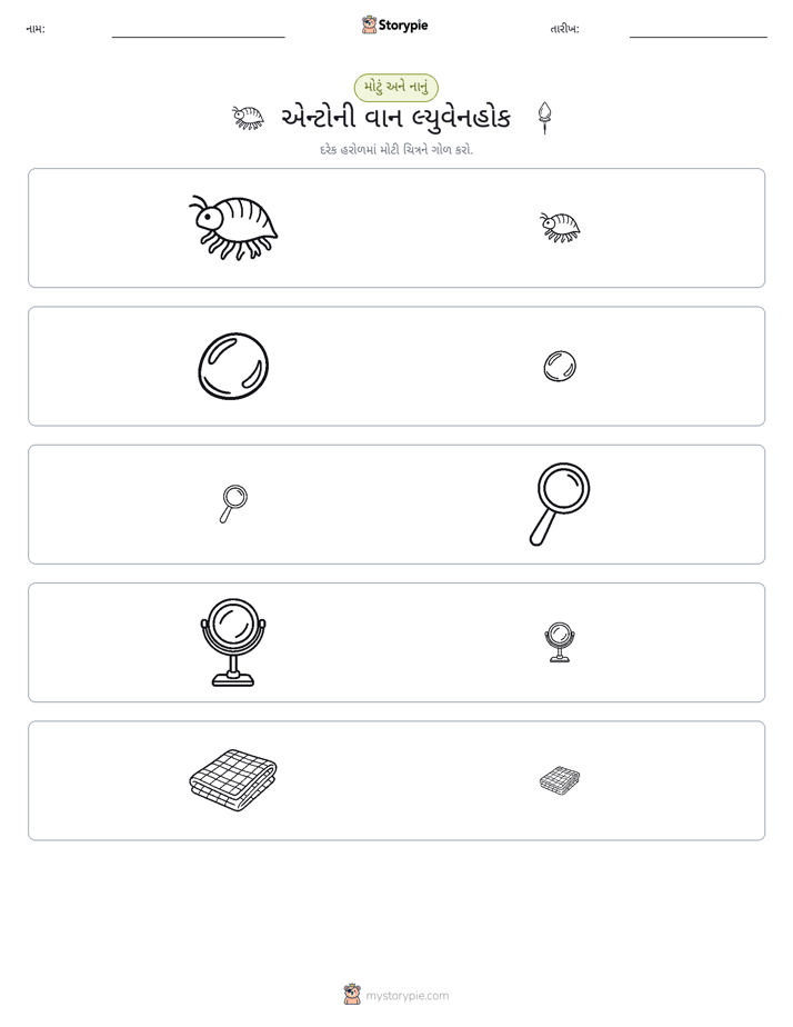 વર્ગીકરણ