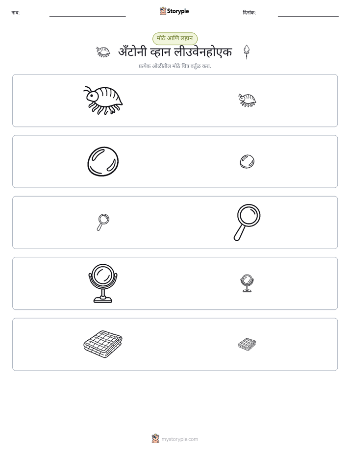 वर्गीकरण