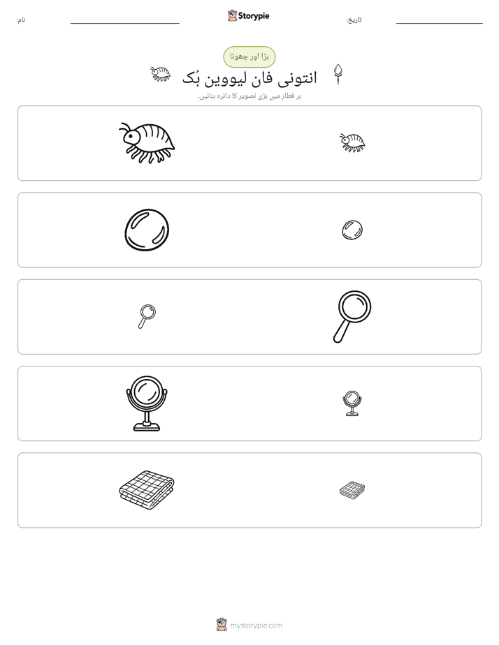 ترتیب دینا