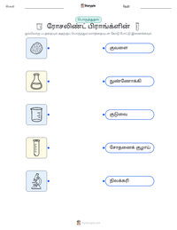 ரோசலிண்ட் பிராங்க்ளின் அச்சிடக்கூடிய வேலைப்பதிவின் முன்னோட்டம்
