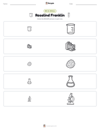 Rosalind Franklin printable worksheet preview