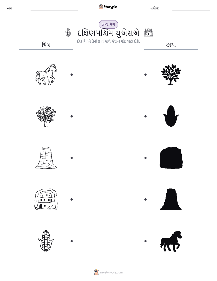 શેડો મેચ
