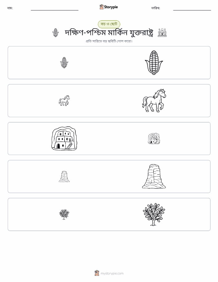 সাজানো
